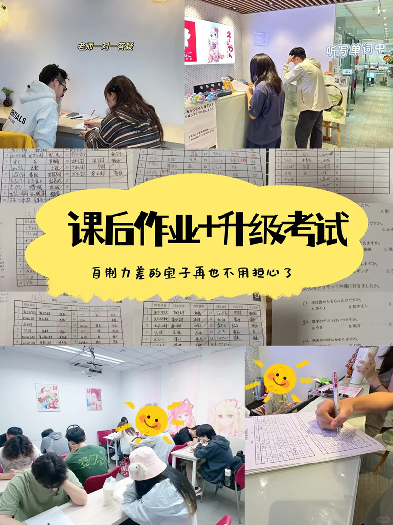 青岛樱花国际日语培训05.jpg