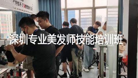 ��������ְҵ������ѵ��