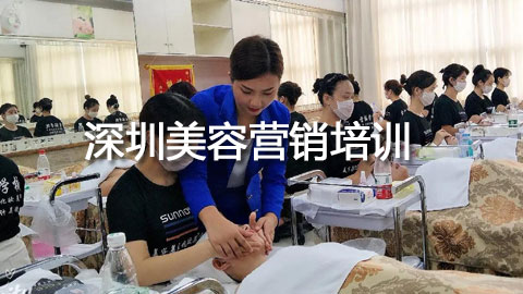 ��������Ӫ����ѵ