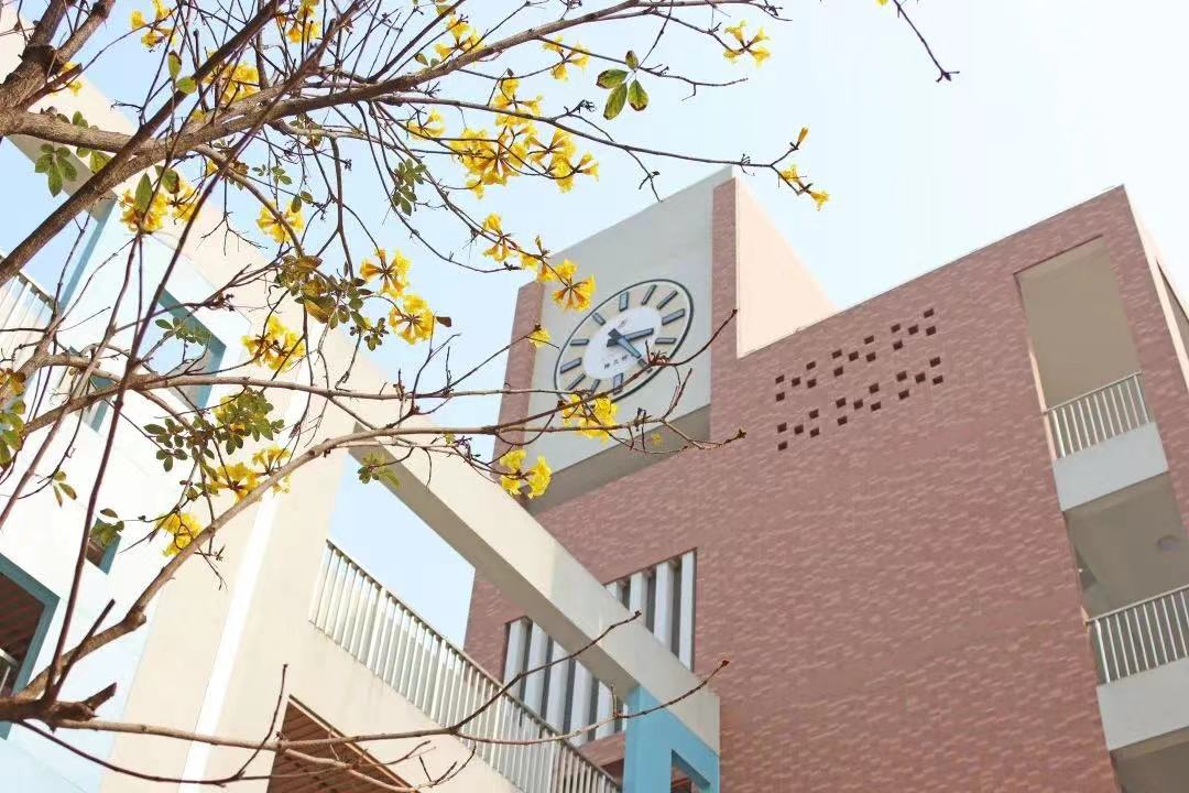 华海双语 华海双语