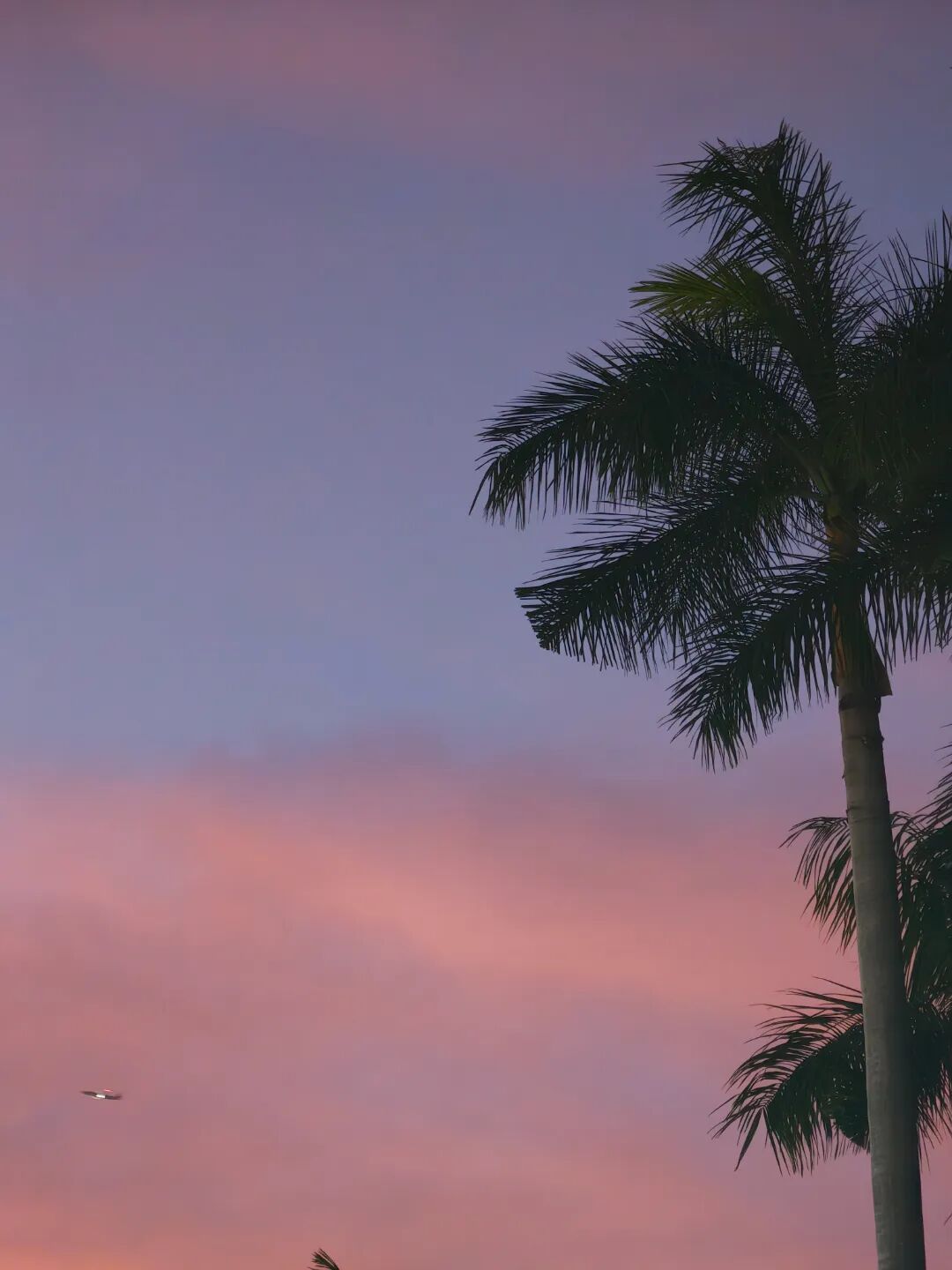 广州华外同文学校 广州华外同文学校