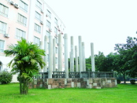 ��ѧ����