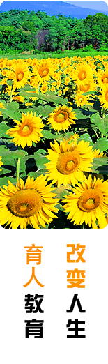 ����������ѵ